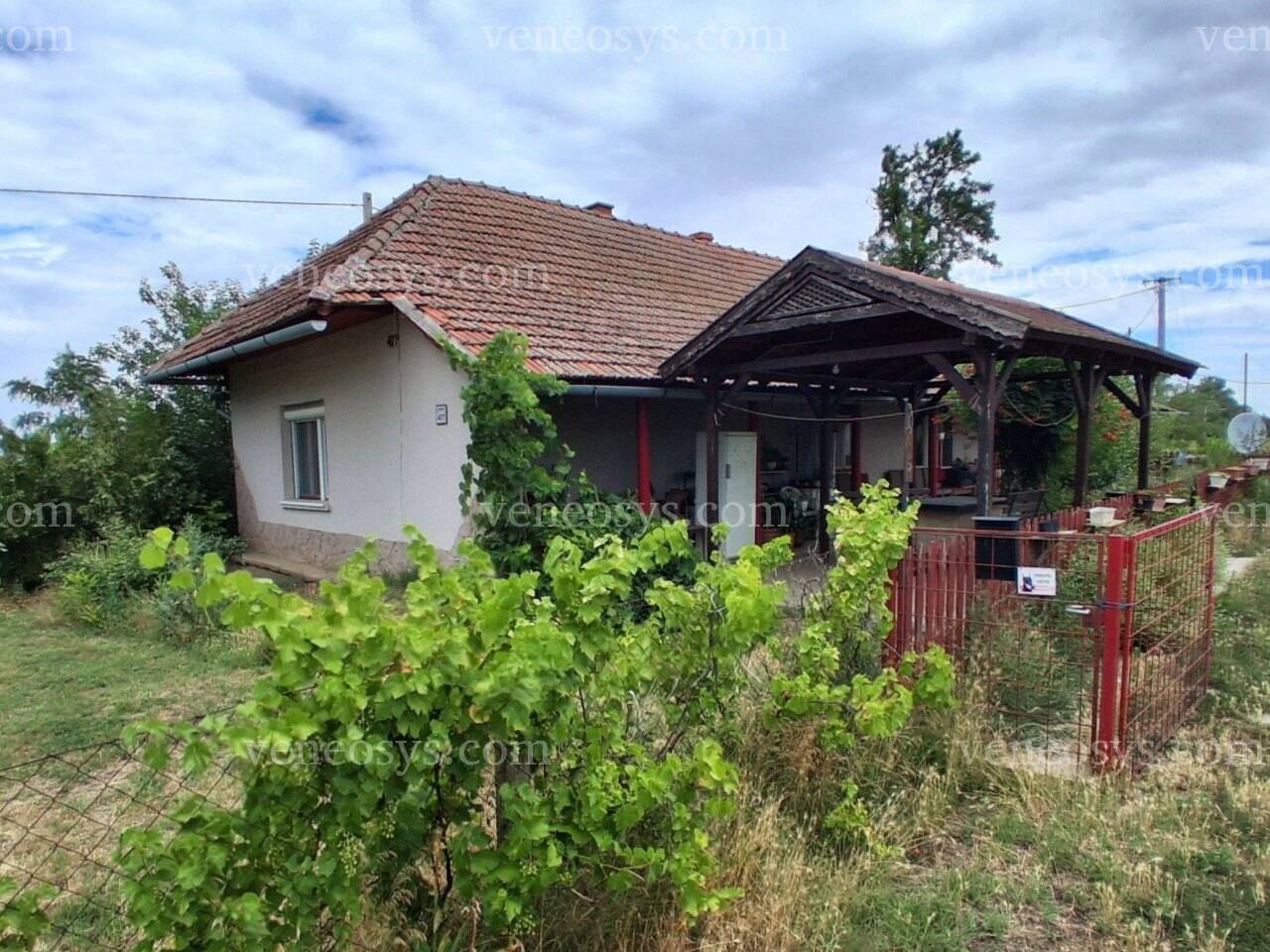 Kamut