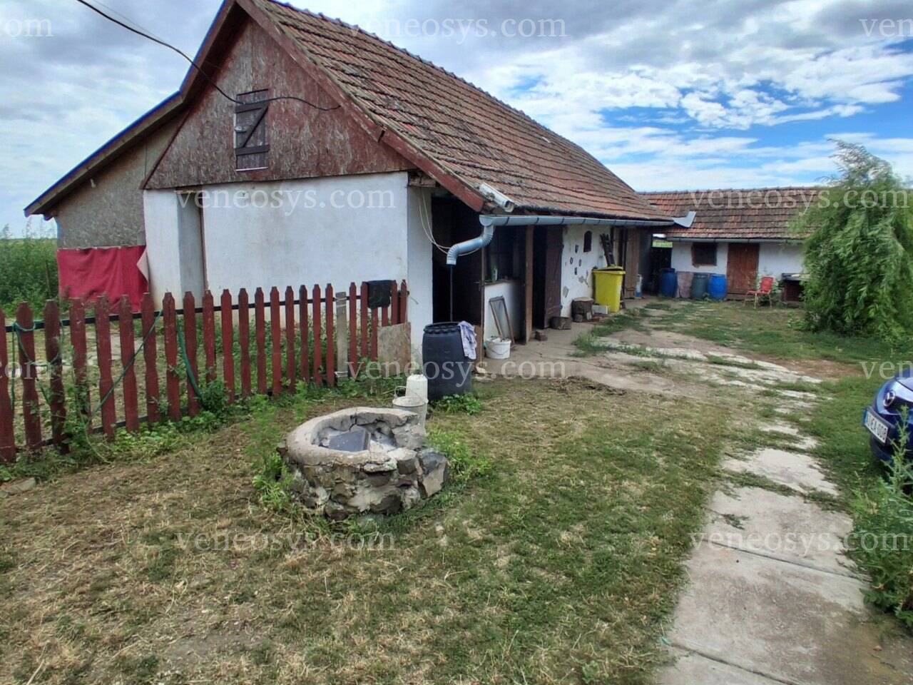 Kép 12