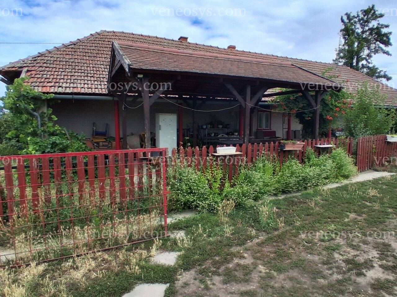 Kép 10