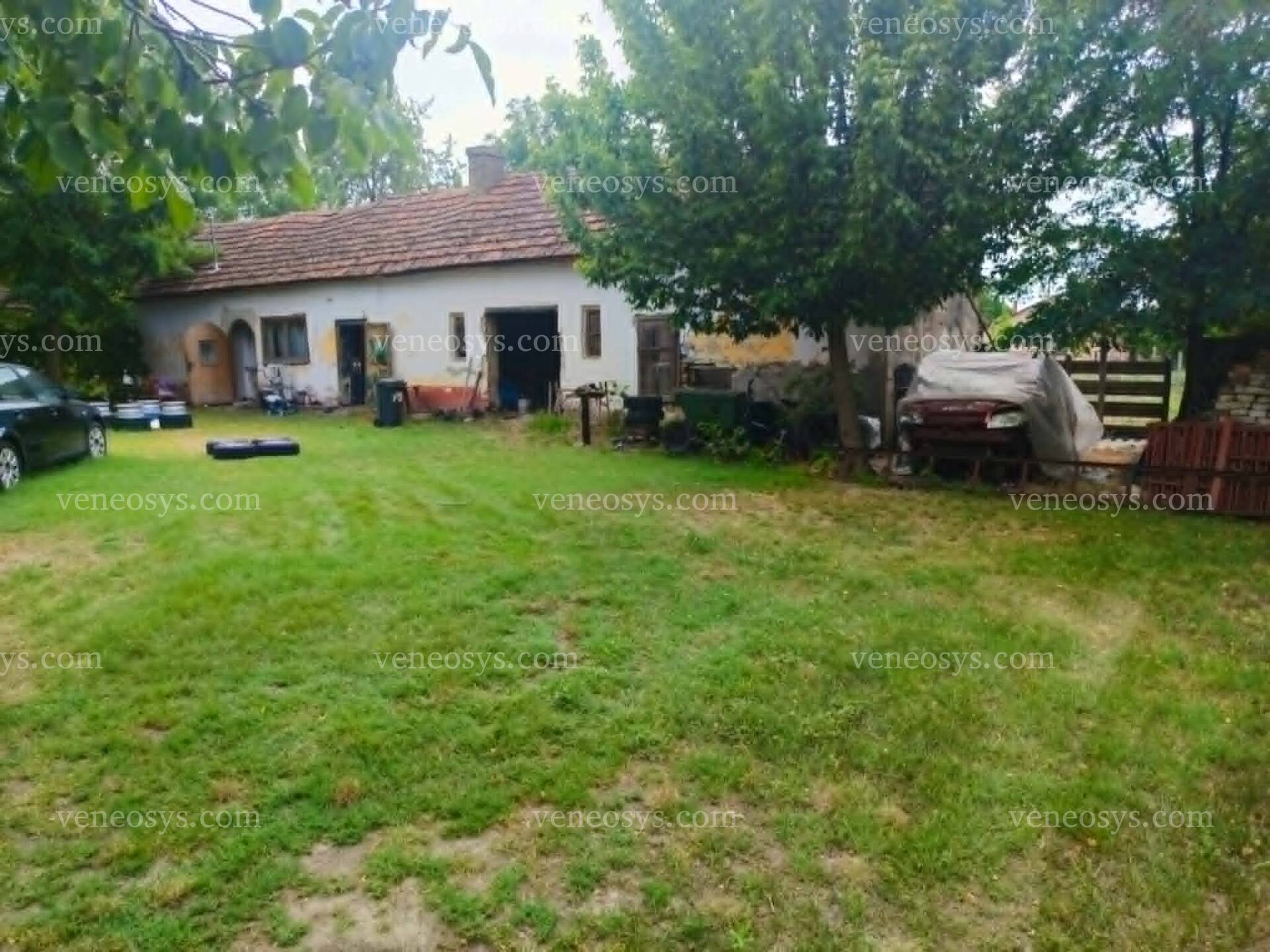 Kép 7