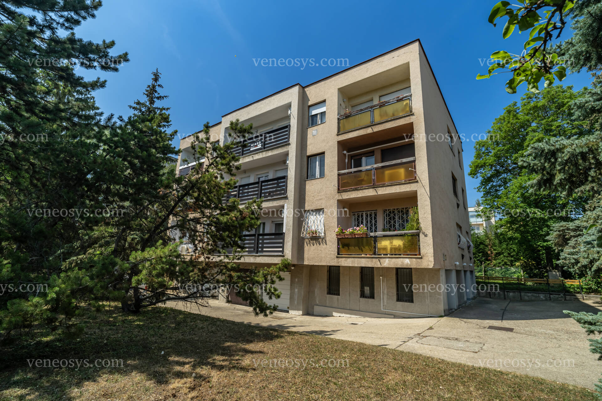 Kép 20