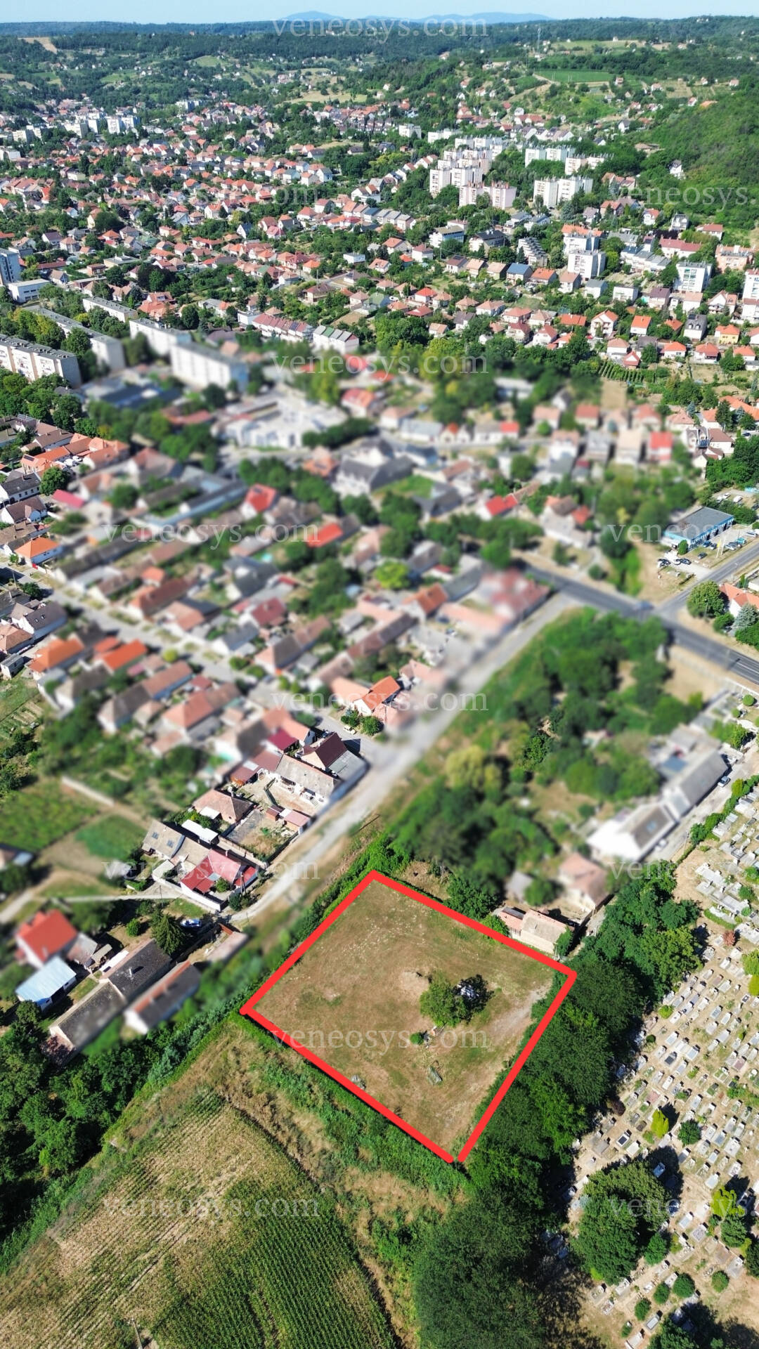 Kép 2