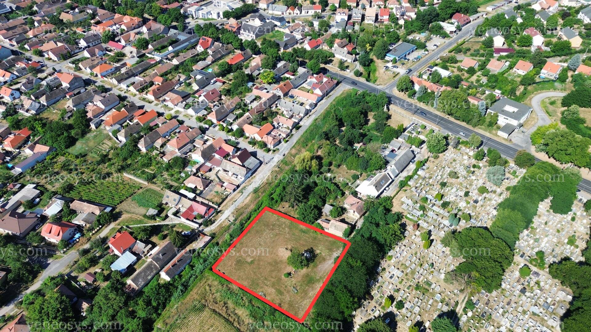 Kép 5
