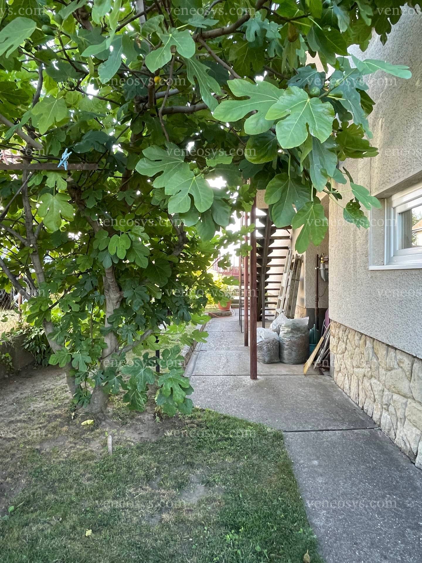 Kép 13