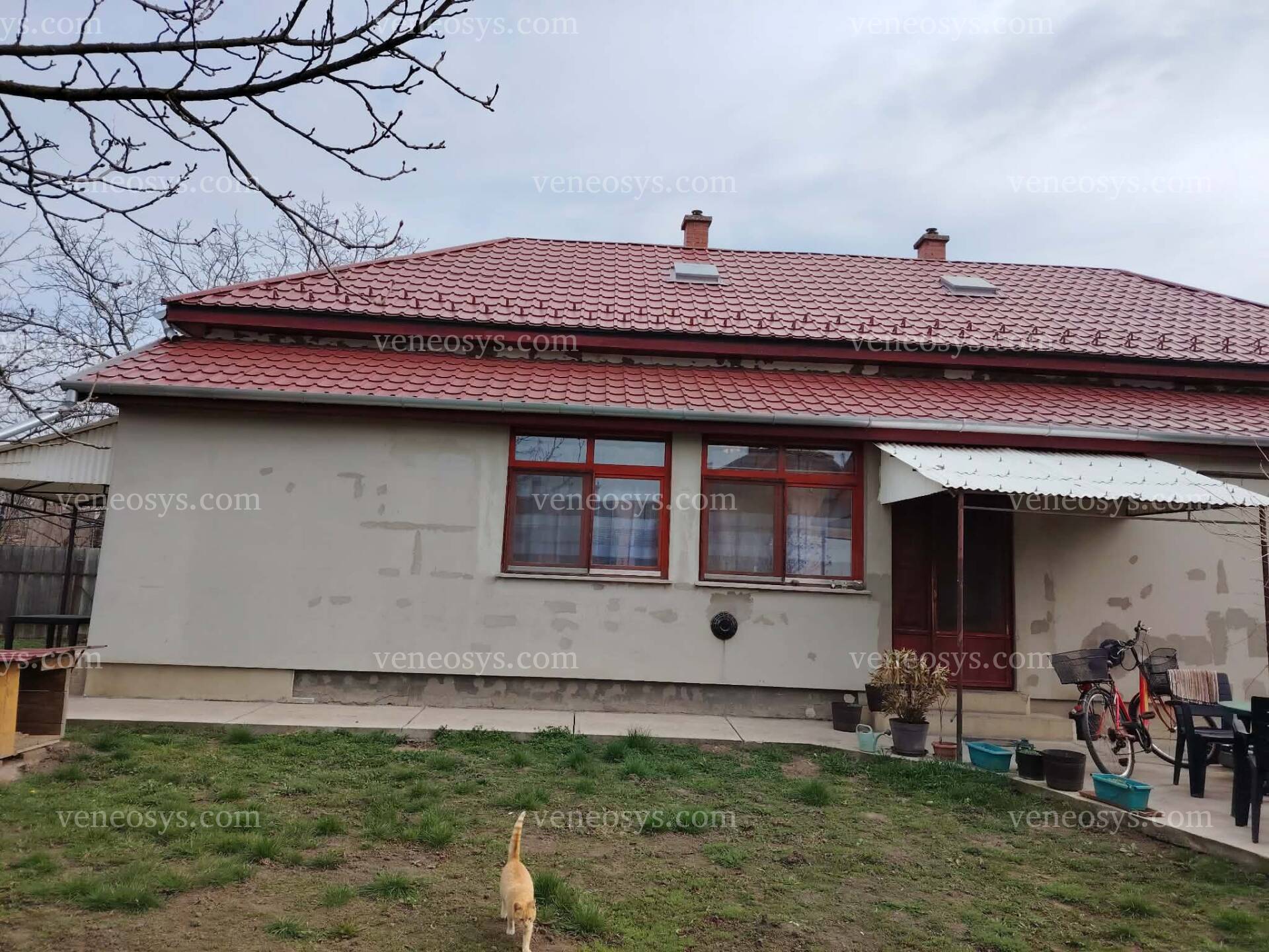 Kép 12