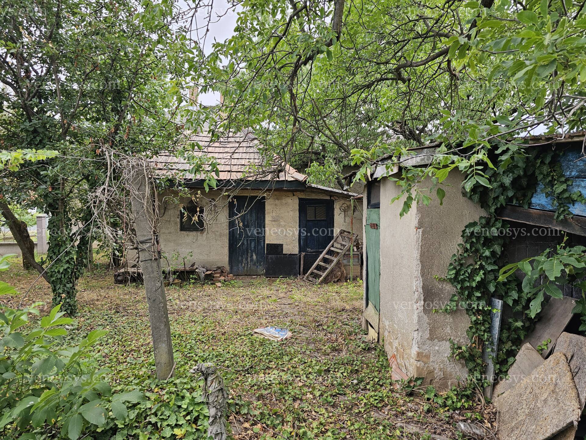 Kép 8