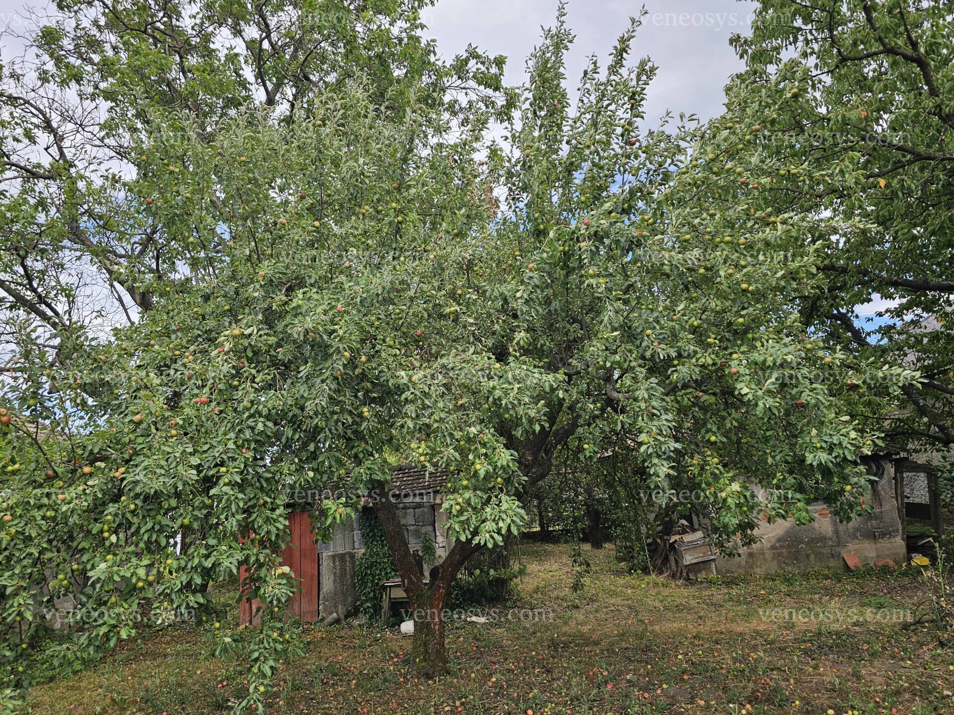 Kép 9