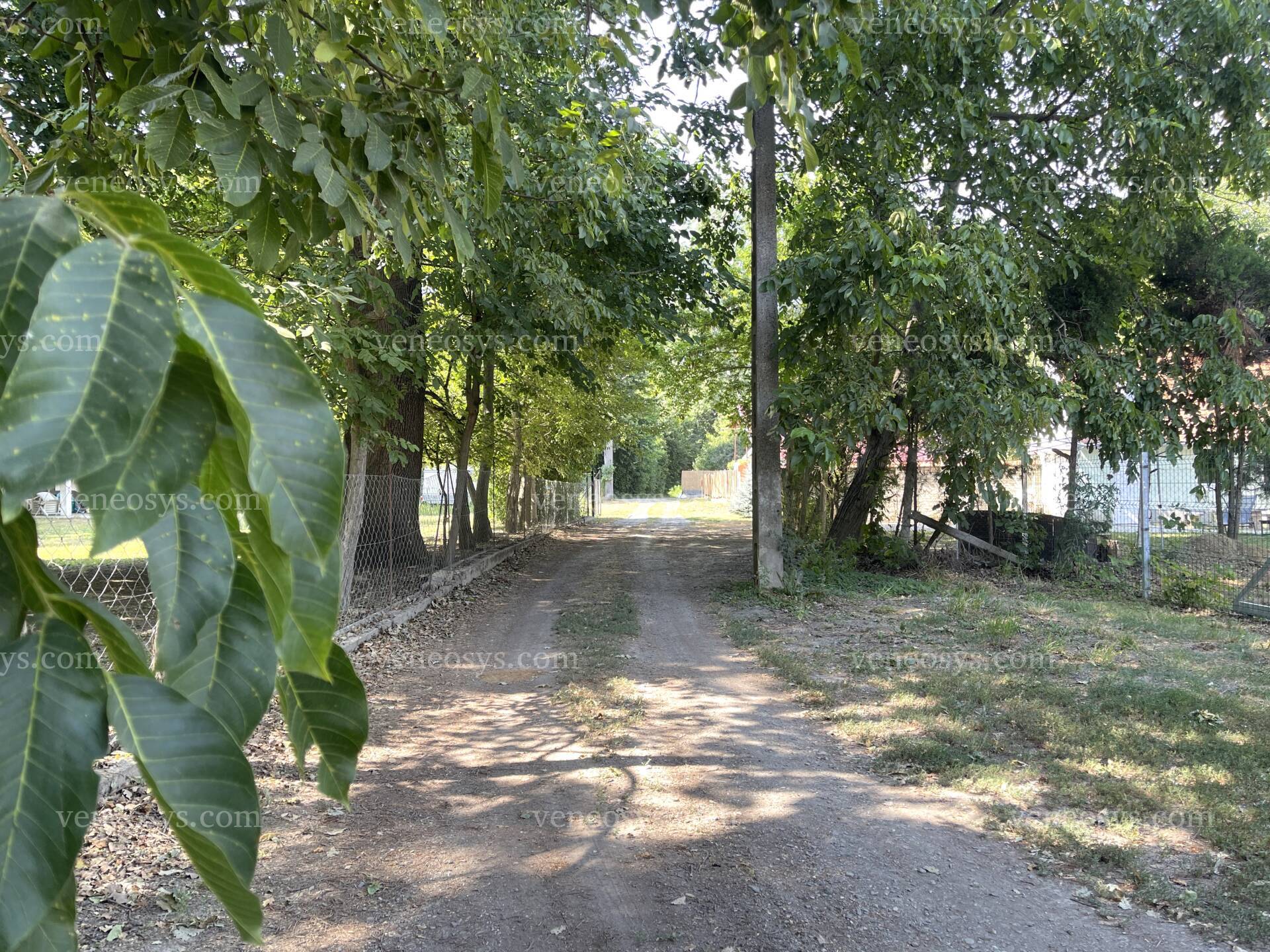 Kép 20