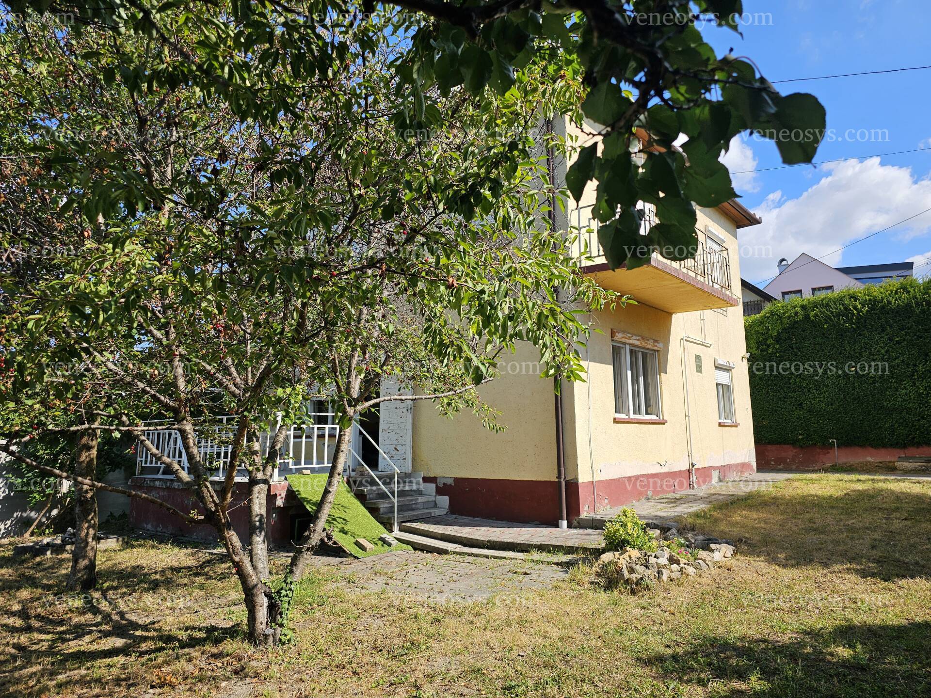 Kép 6