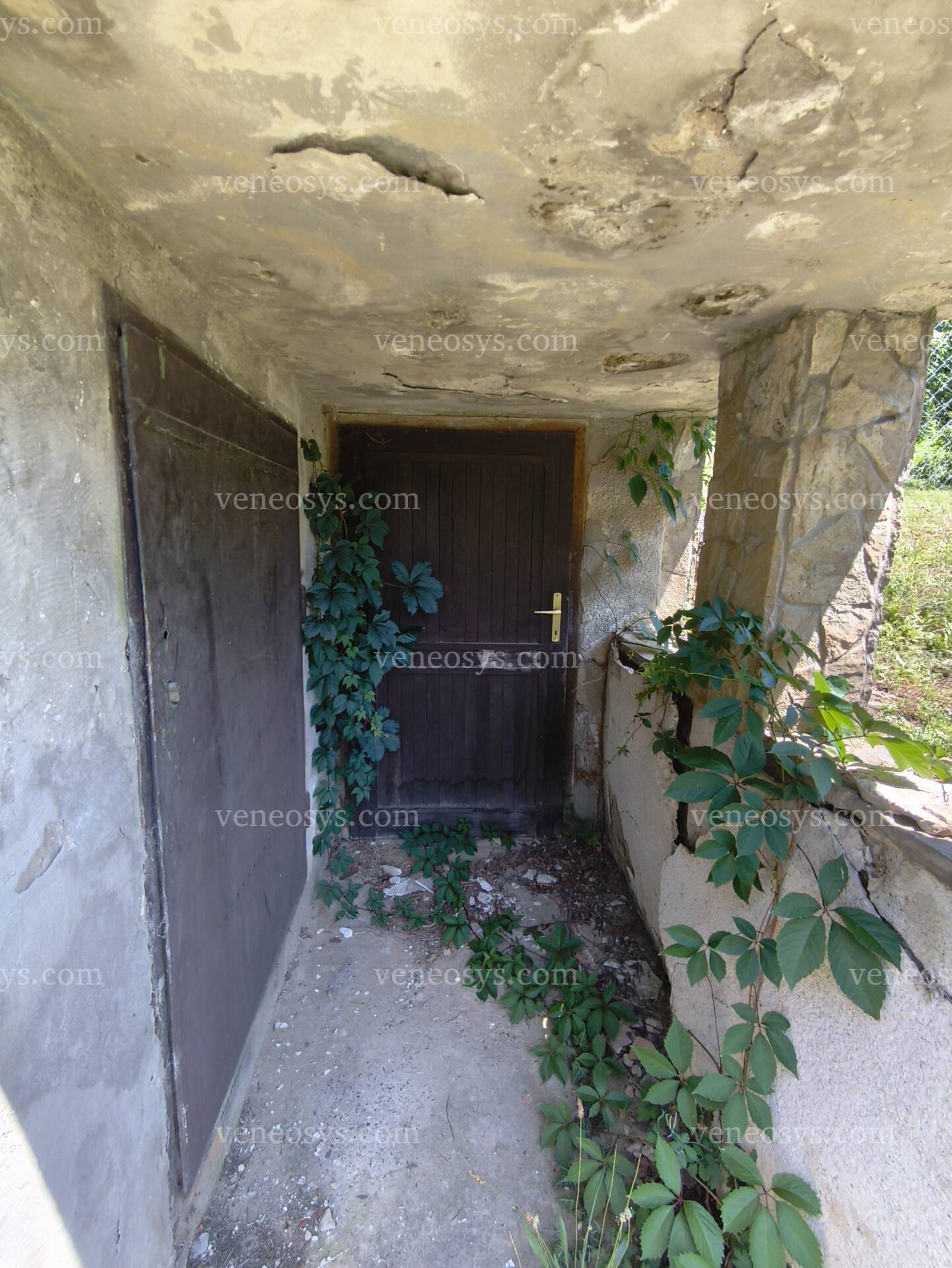 Kép 19