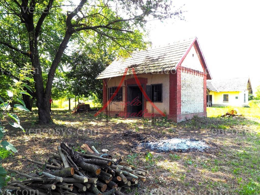 Kép 1