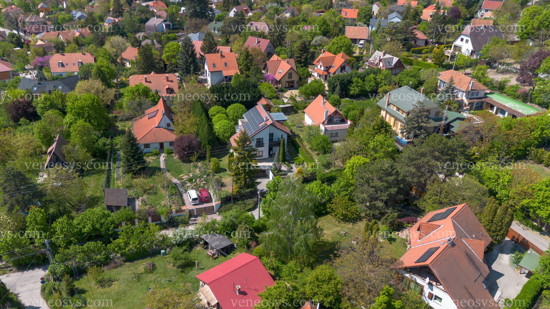 Kép 6