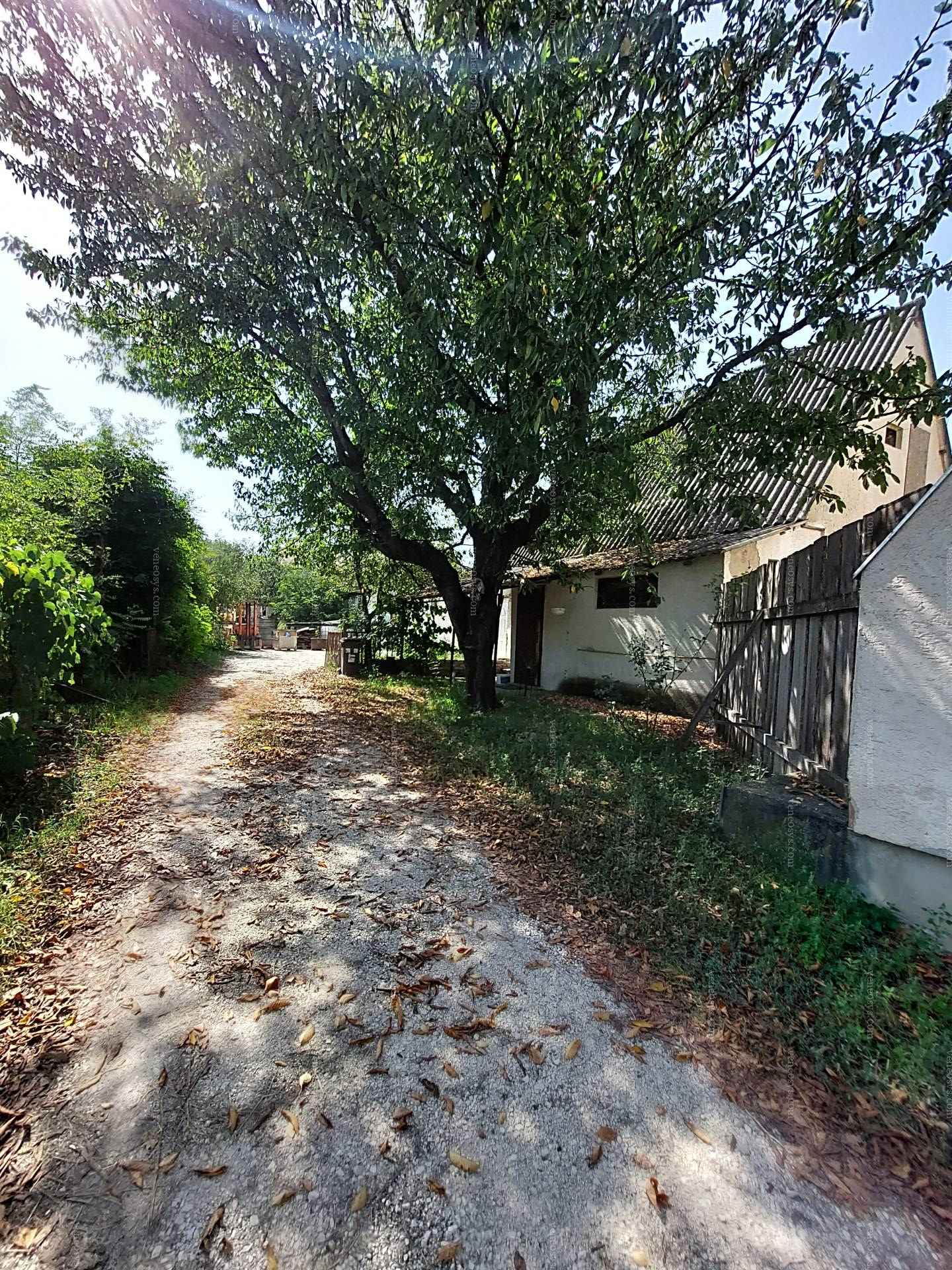 Kép 18