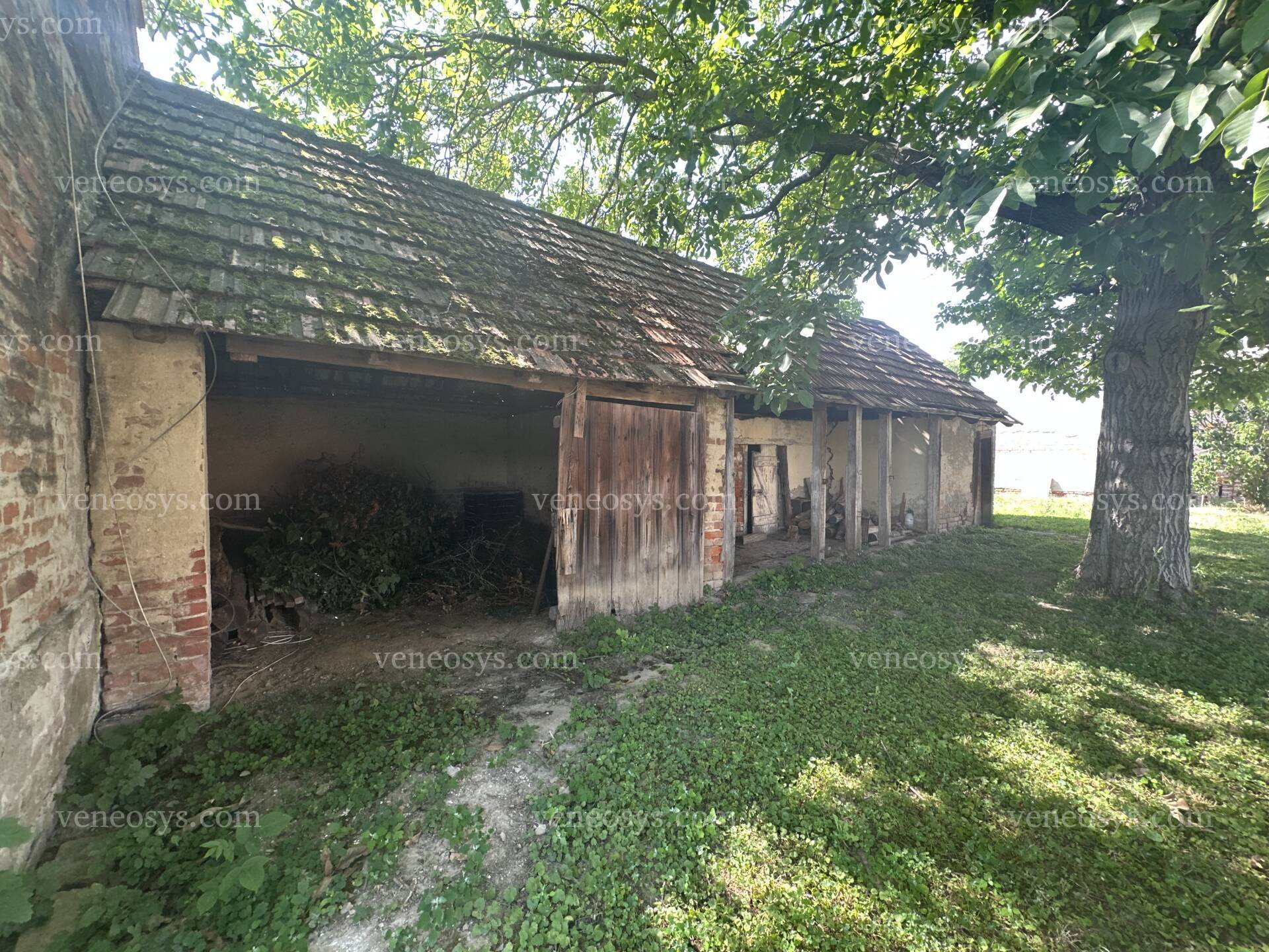 Kép 11