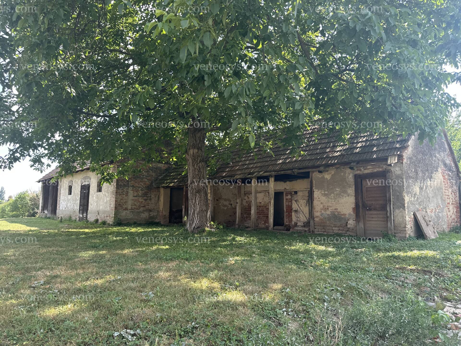 Kép 8