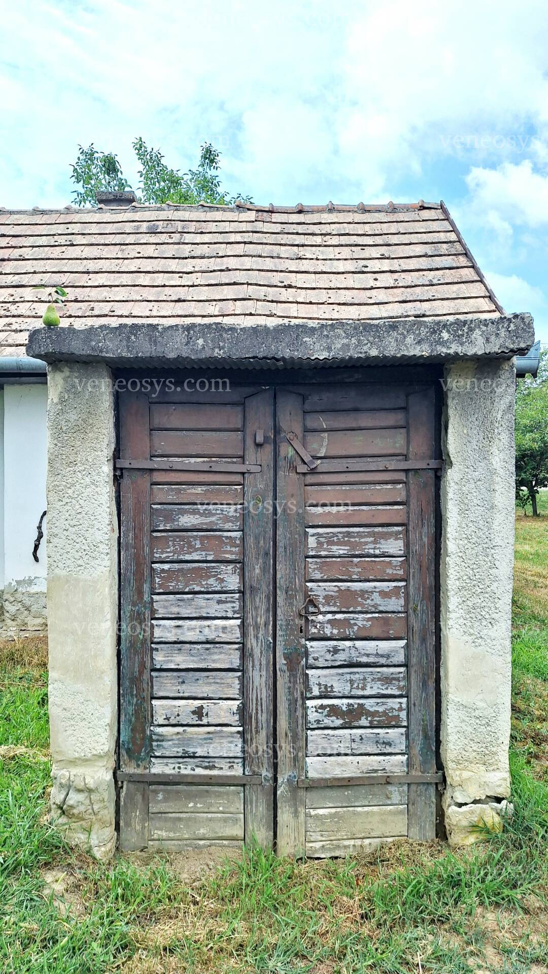 Kép 27