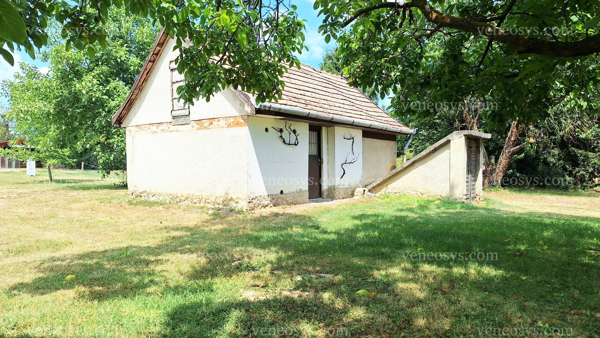 Kép 4