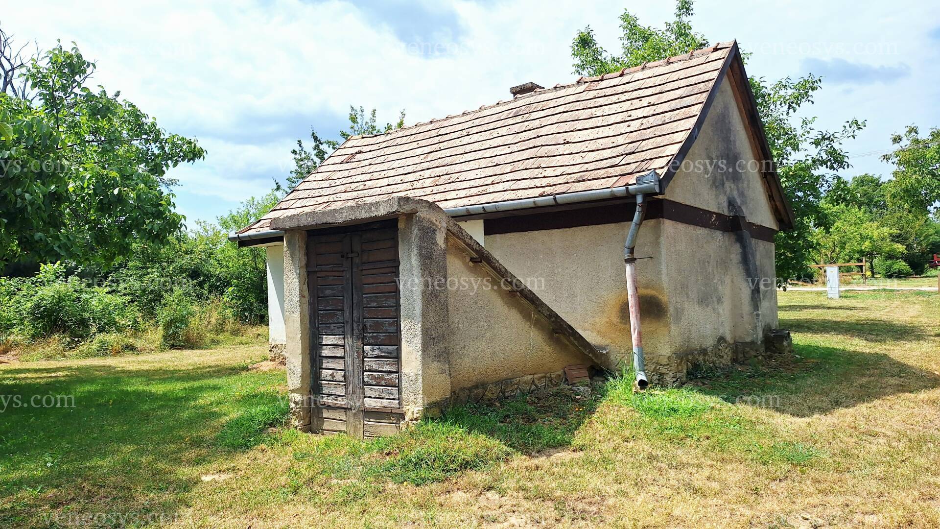 Kép 5