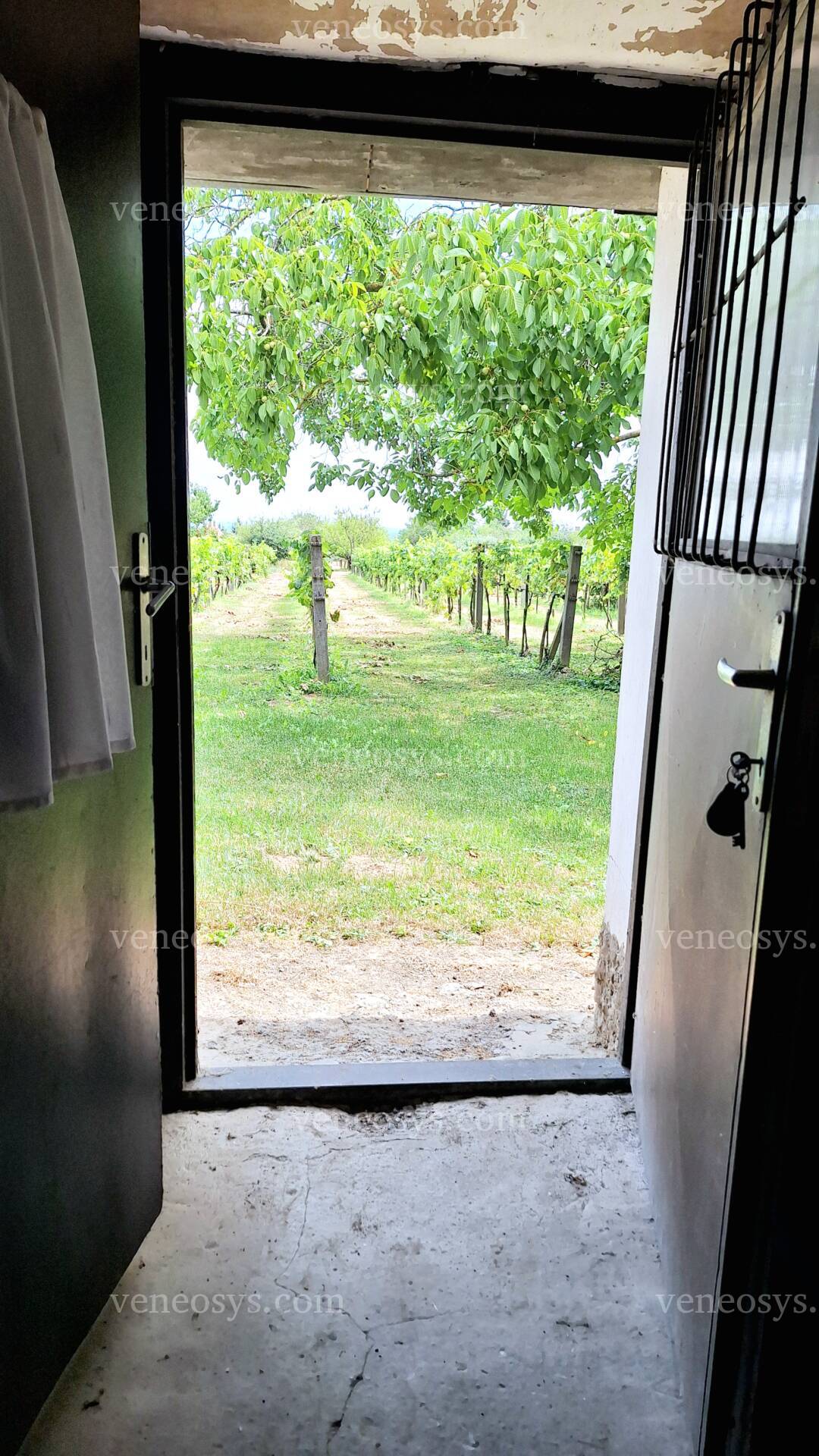Kép 14