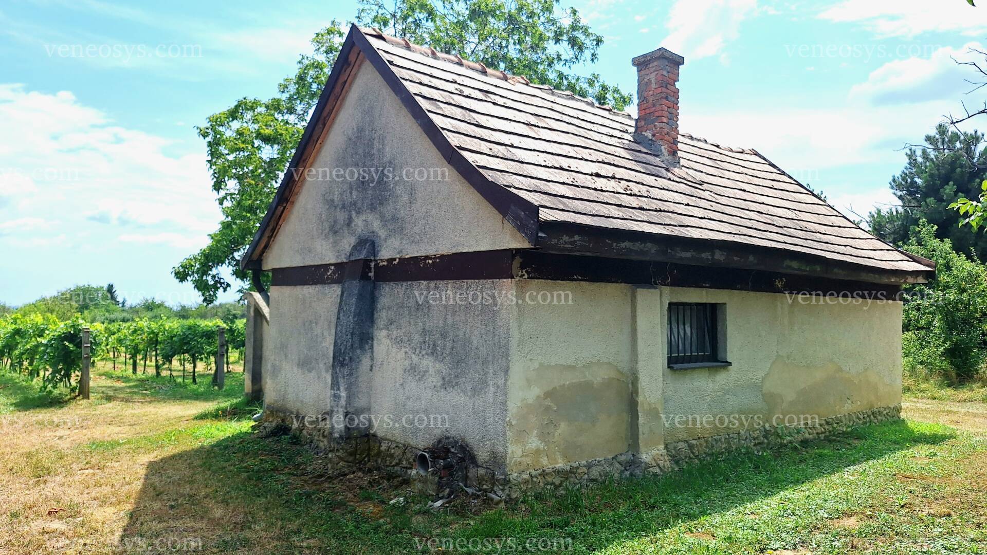 Kép 6