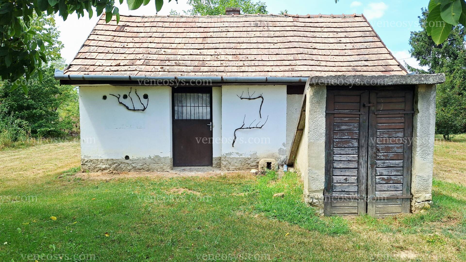 Kép 9
