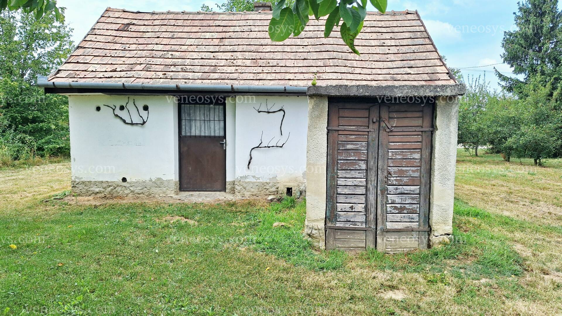 Kép 26