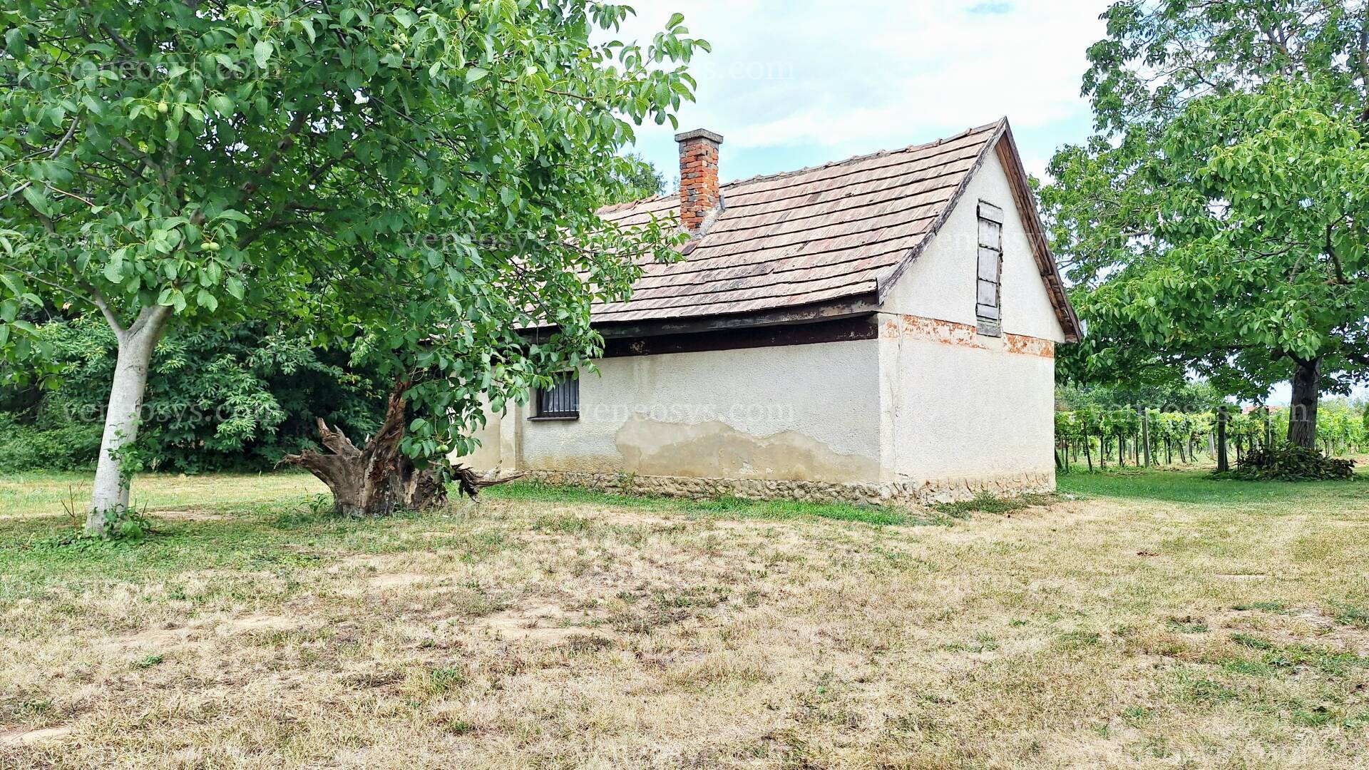 Kép 29