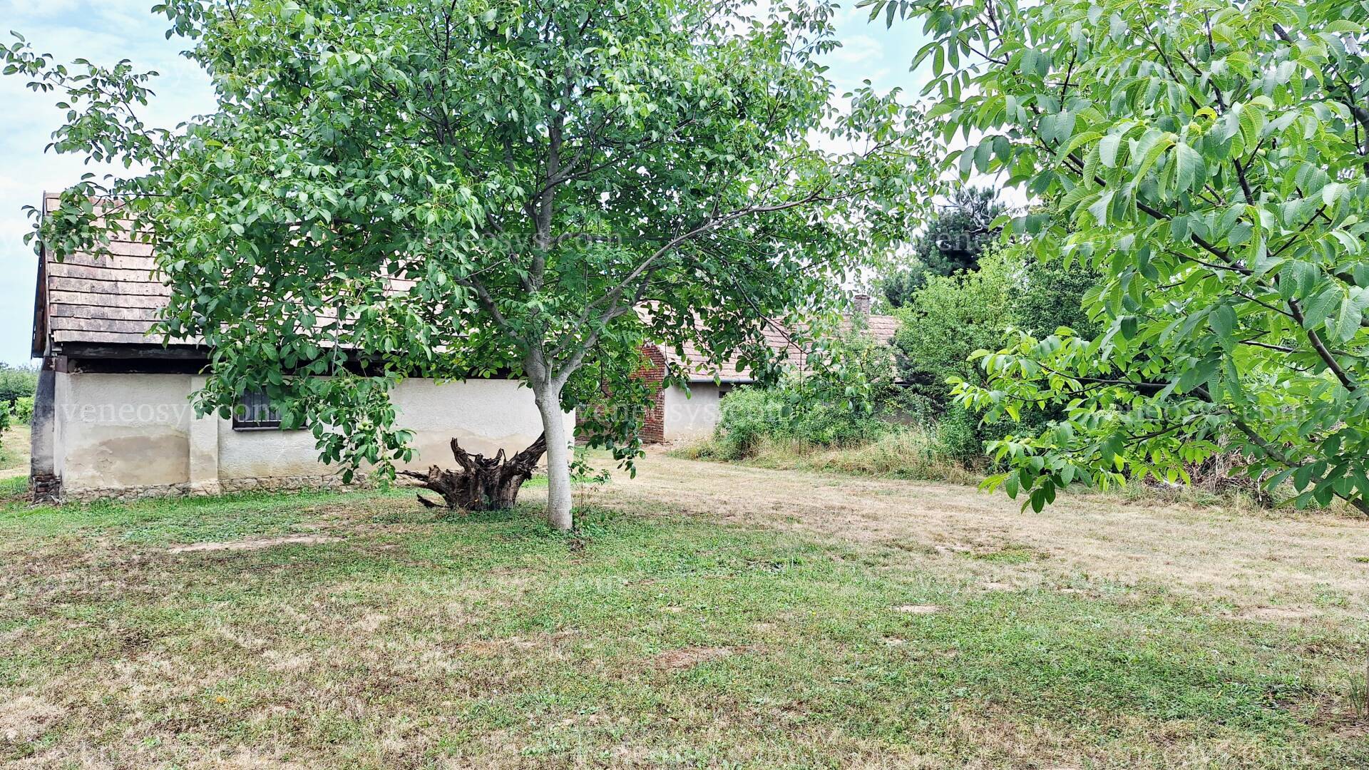 Kép 30