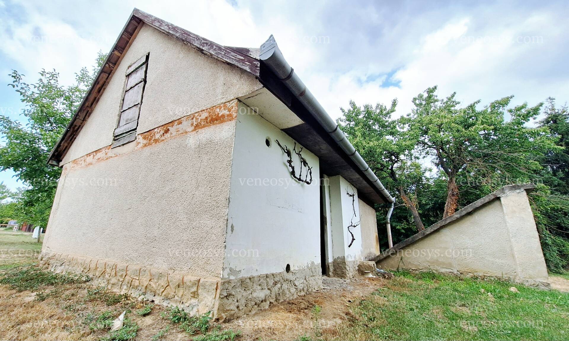 Kép 21