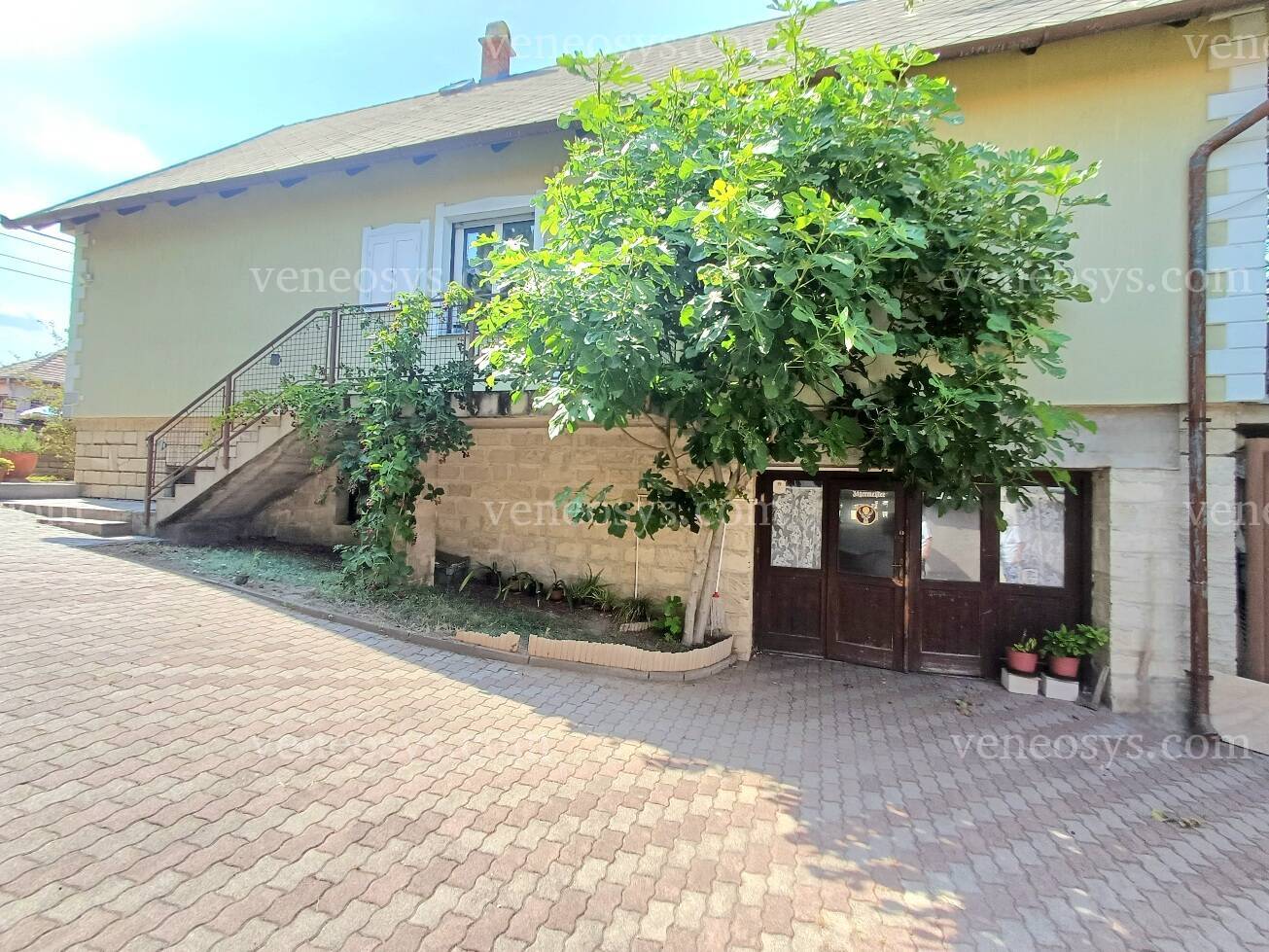Kép 12