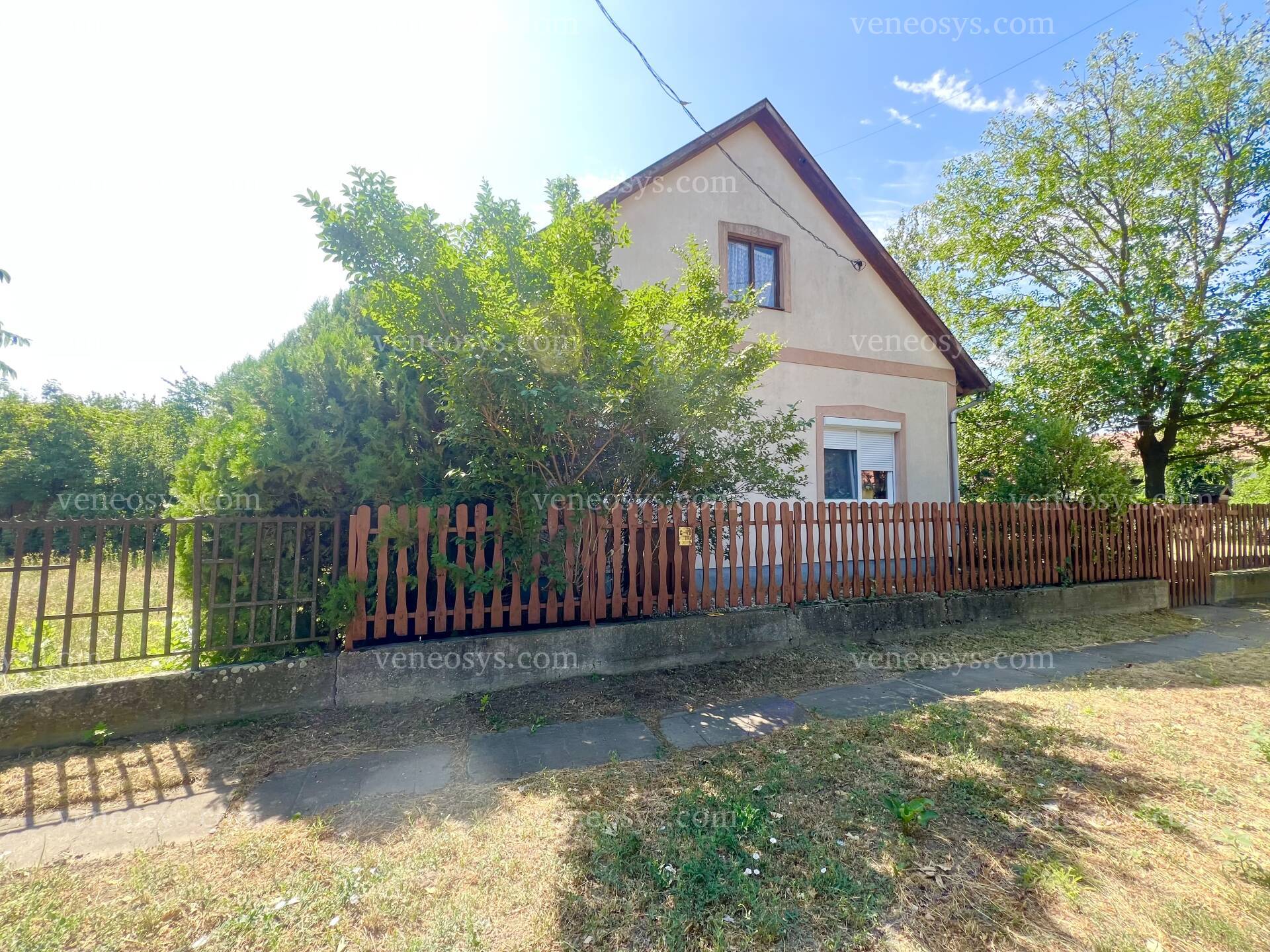 Kép 5