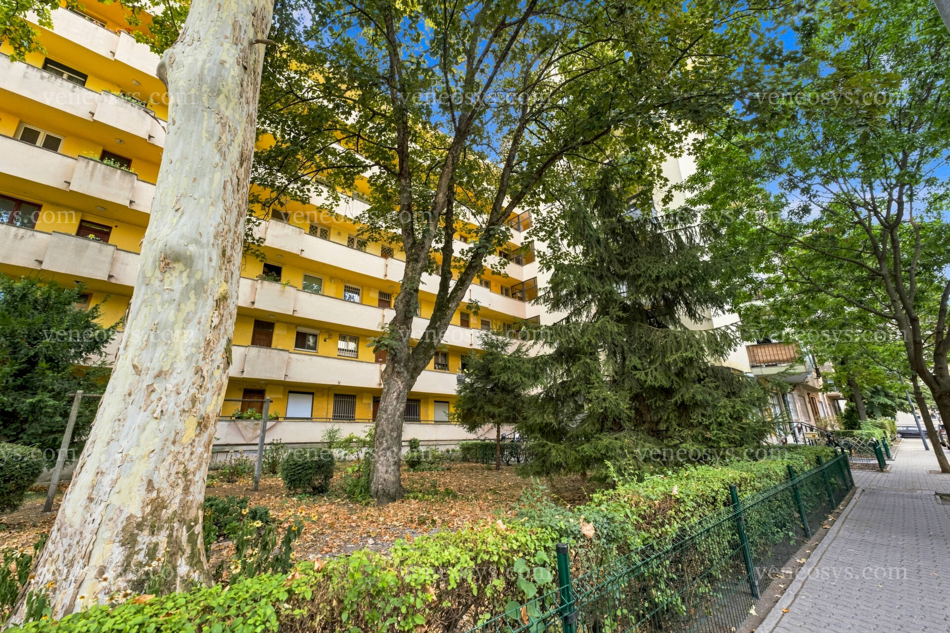 Kép 17