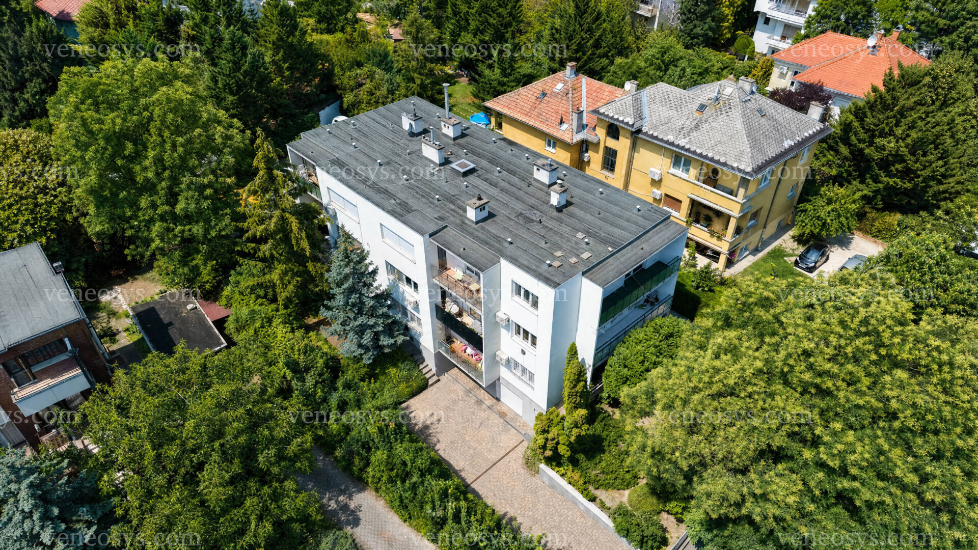 Kép 4