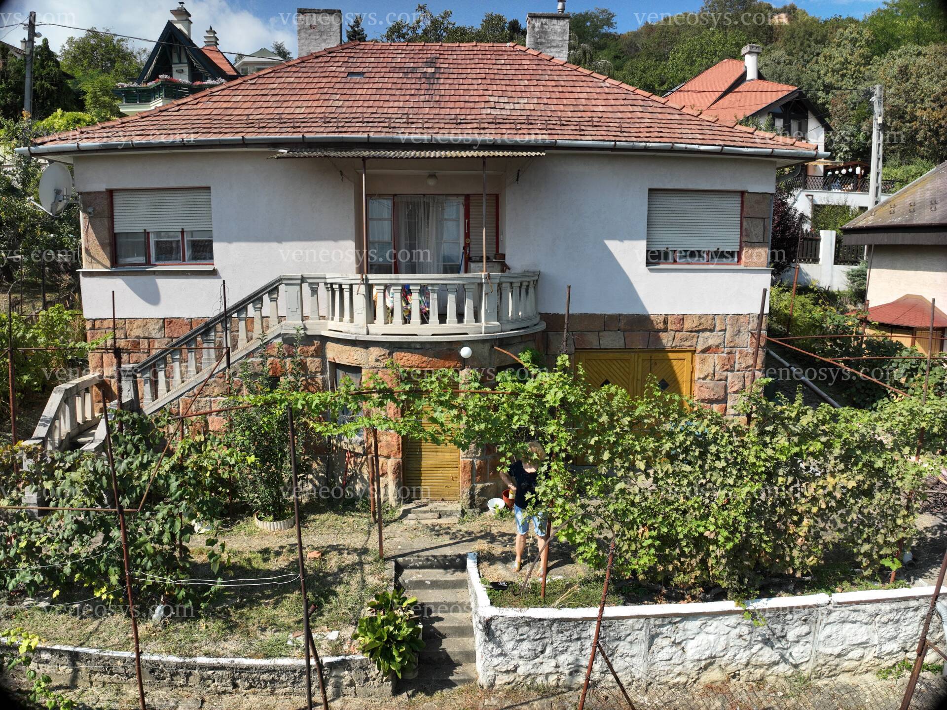 Kép 21