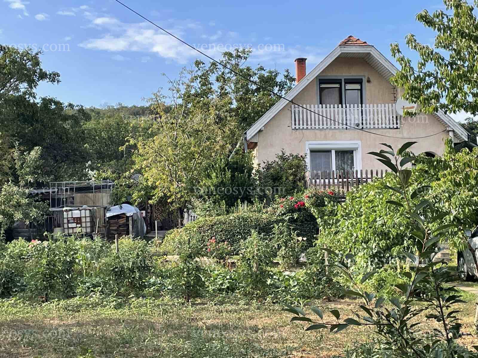 Kép 19