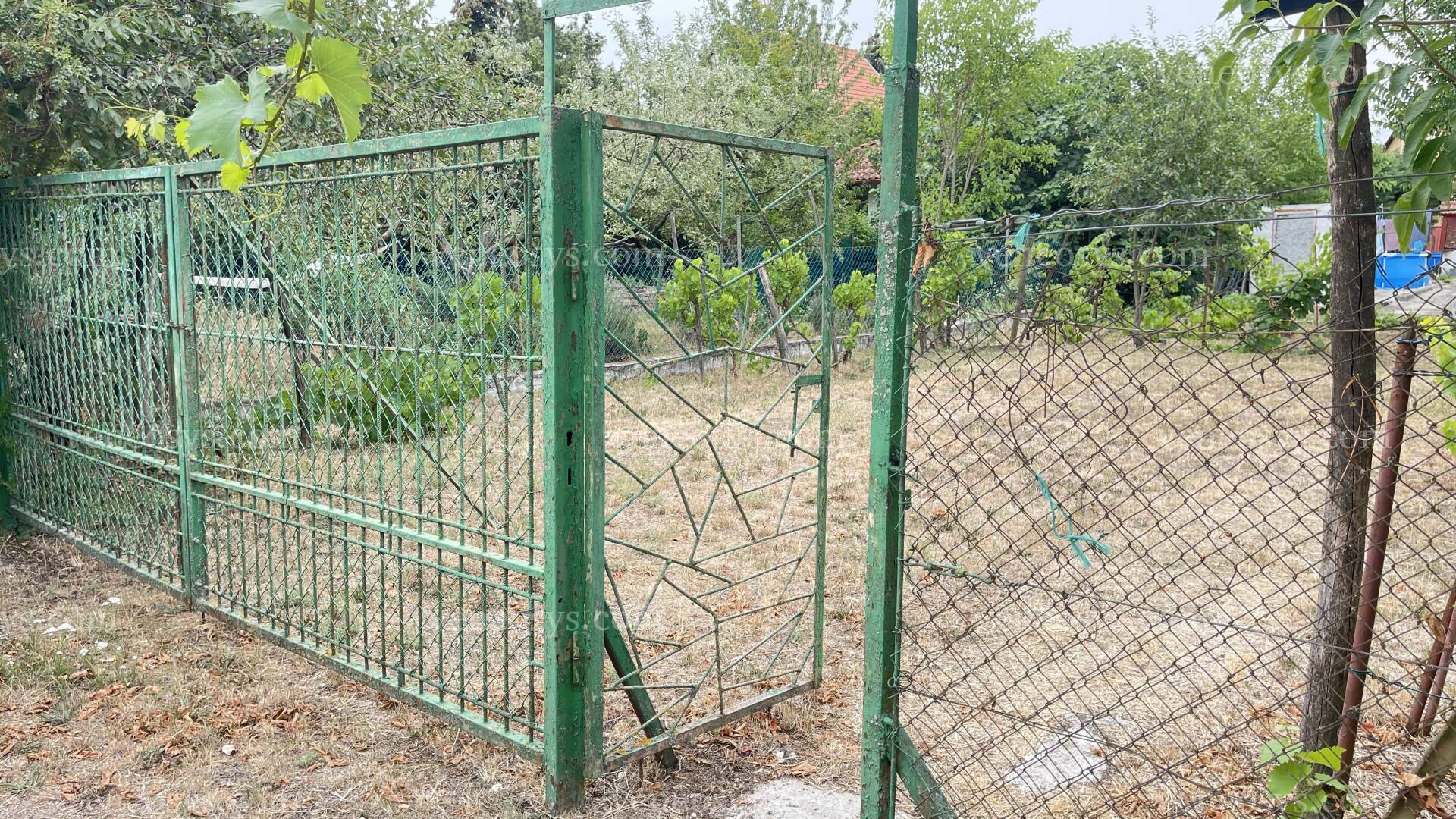 Kép 4