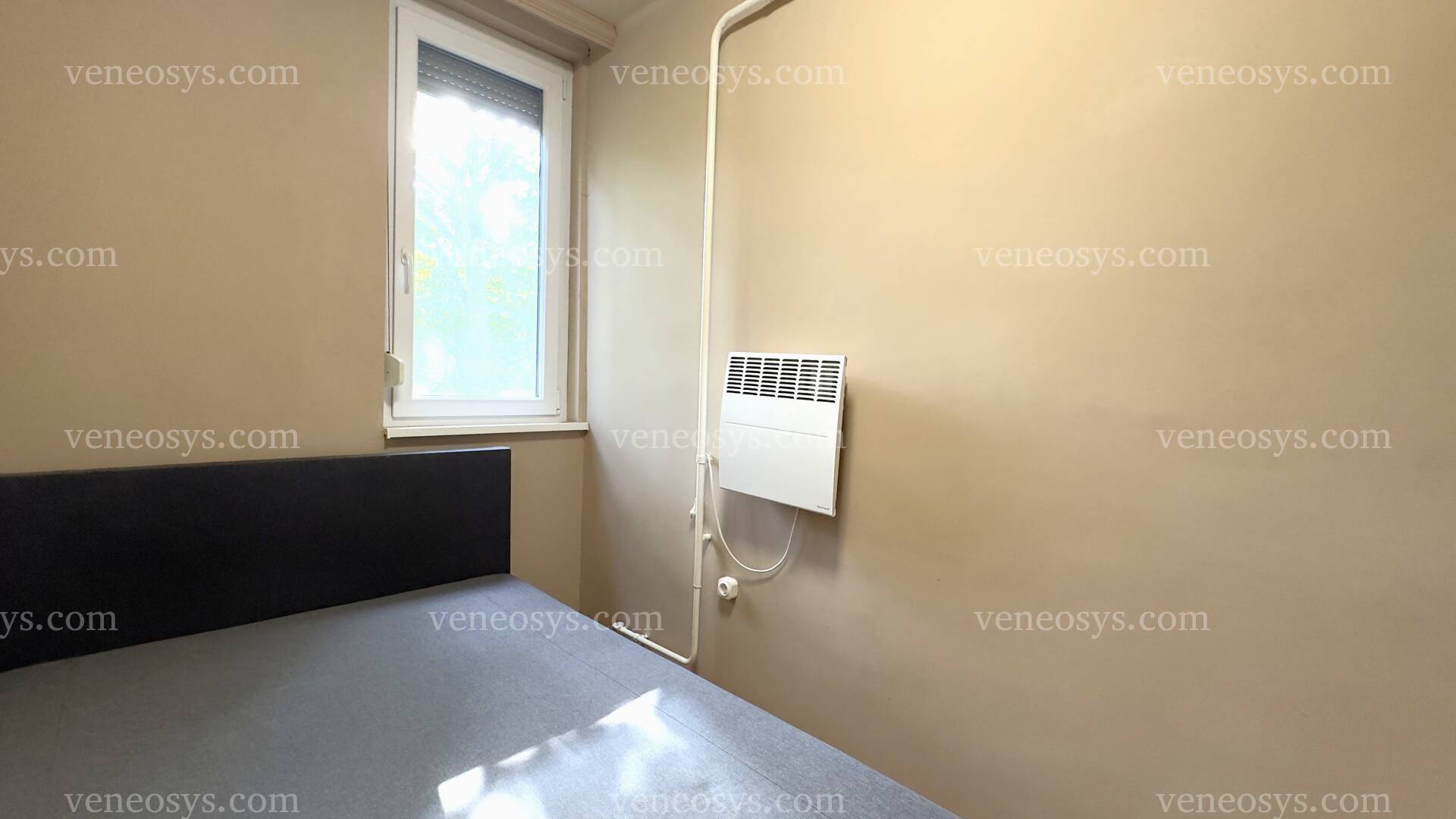 Kép 5