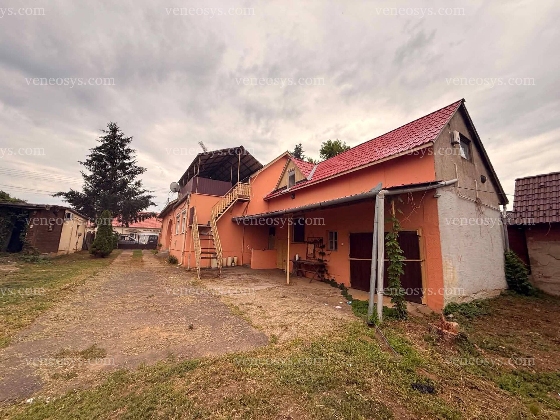 Kép 5