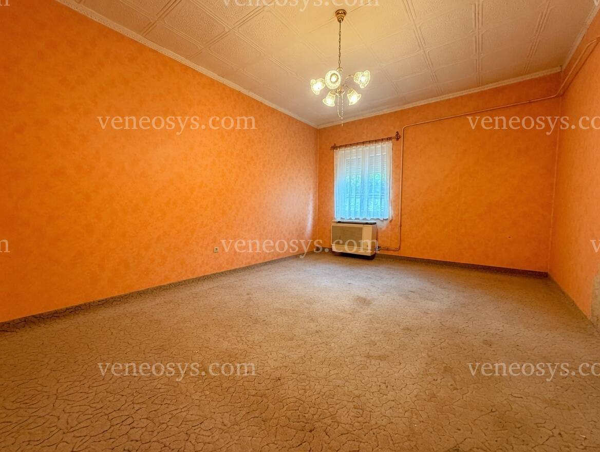 Kép 5