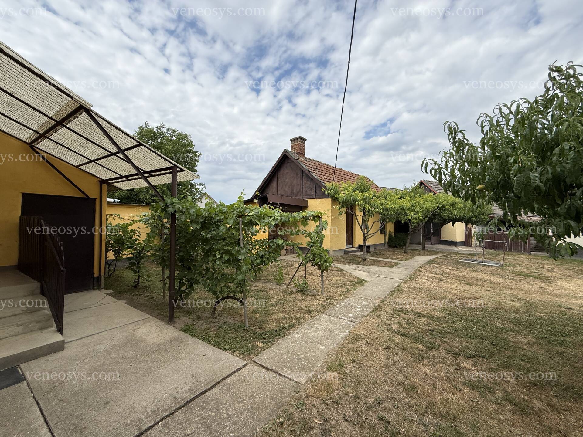 Kép 6