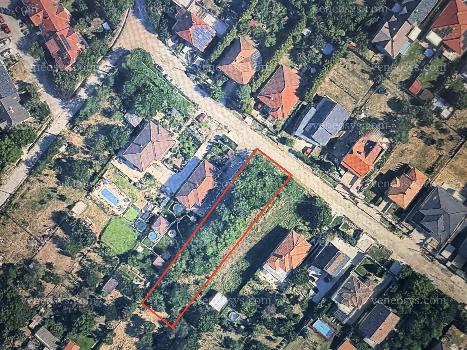 Kép 7