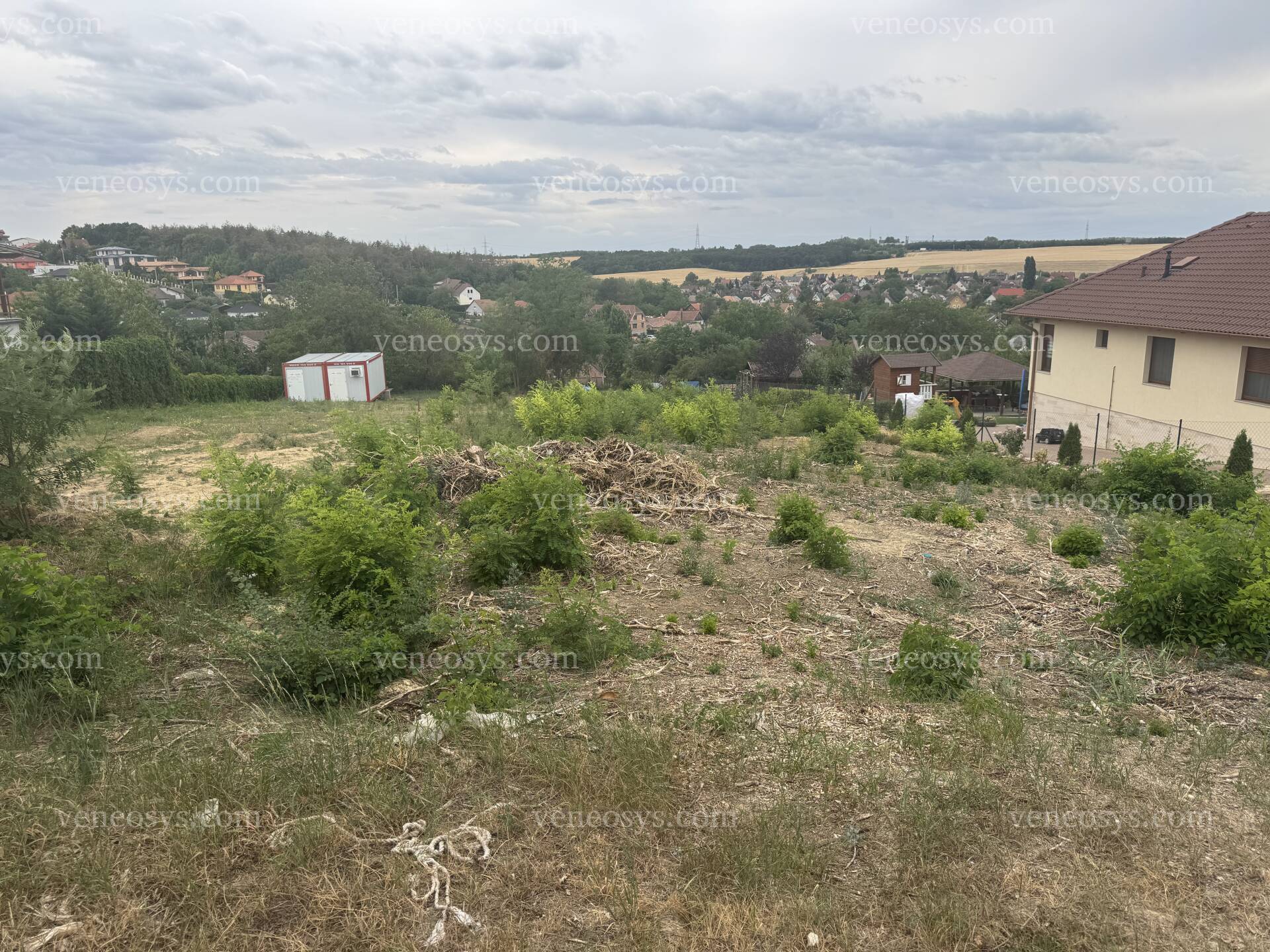 Kép 8
