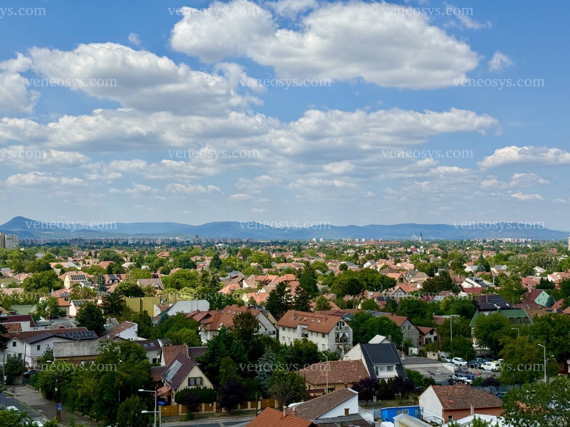Kép 6