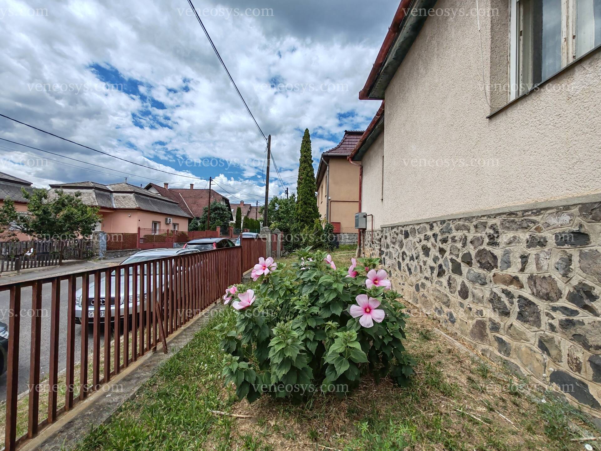 Kép 5