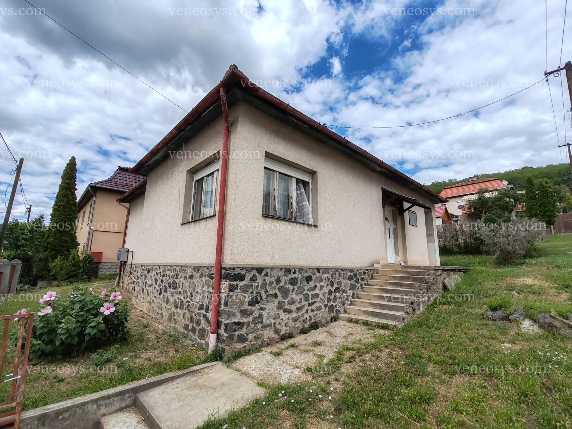 Kép 4
