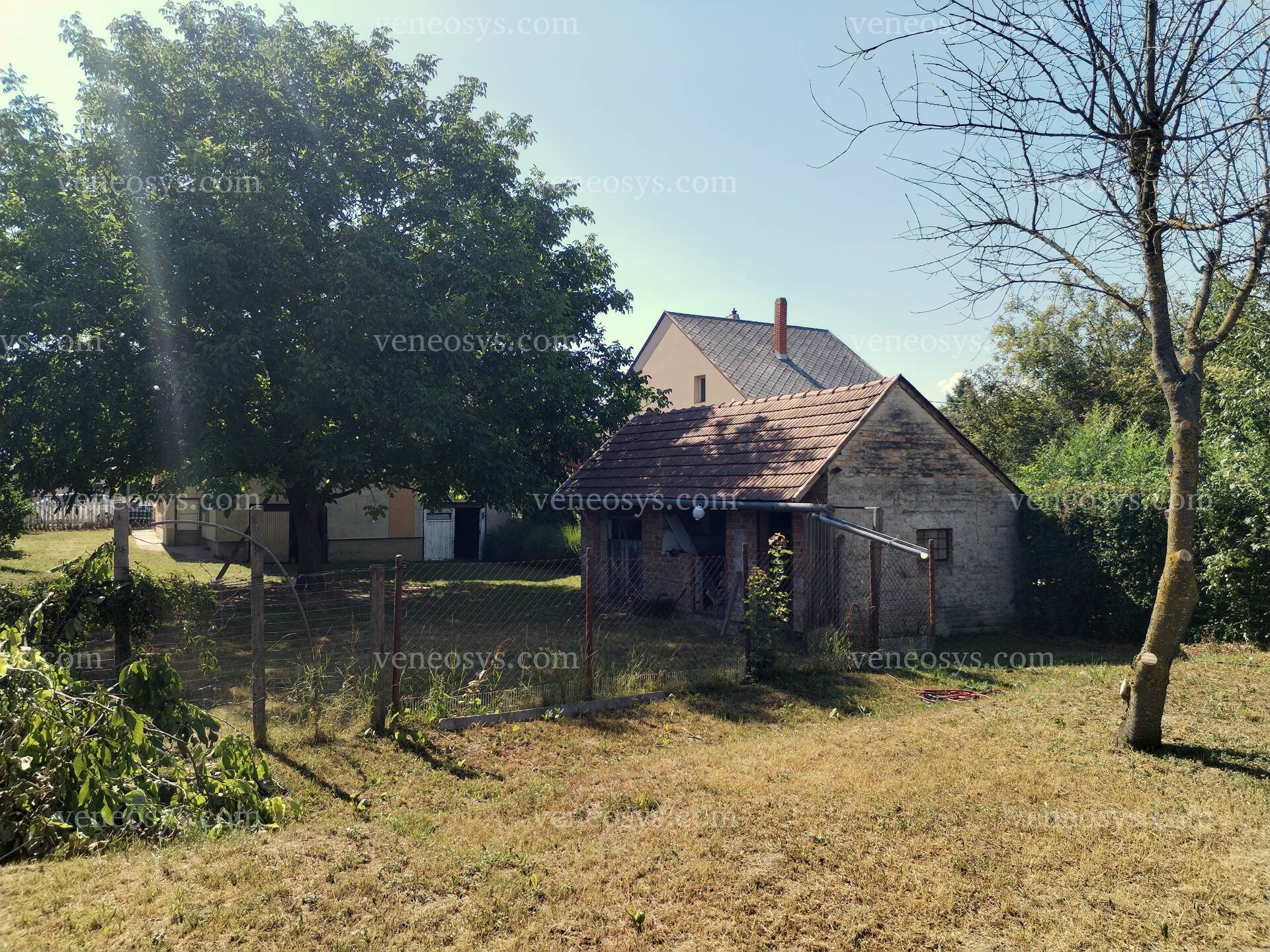 Kép 15