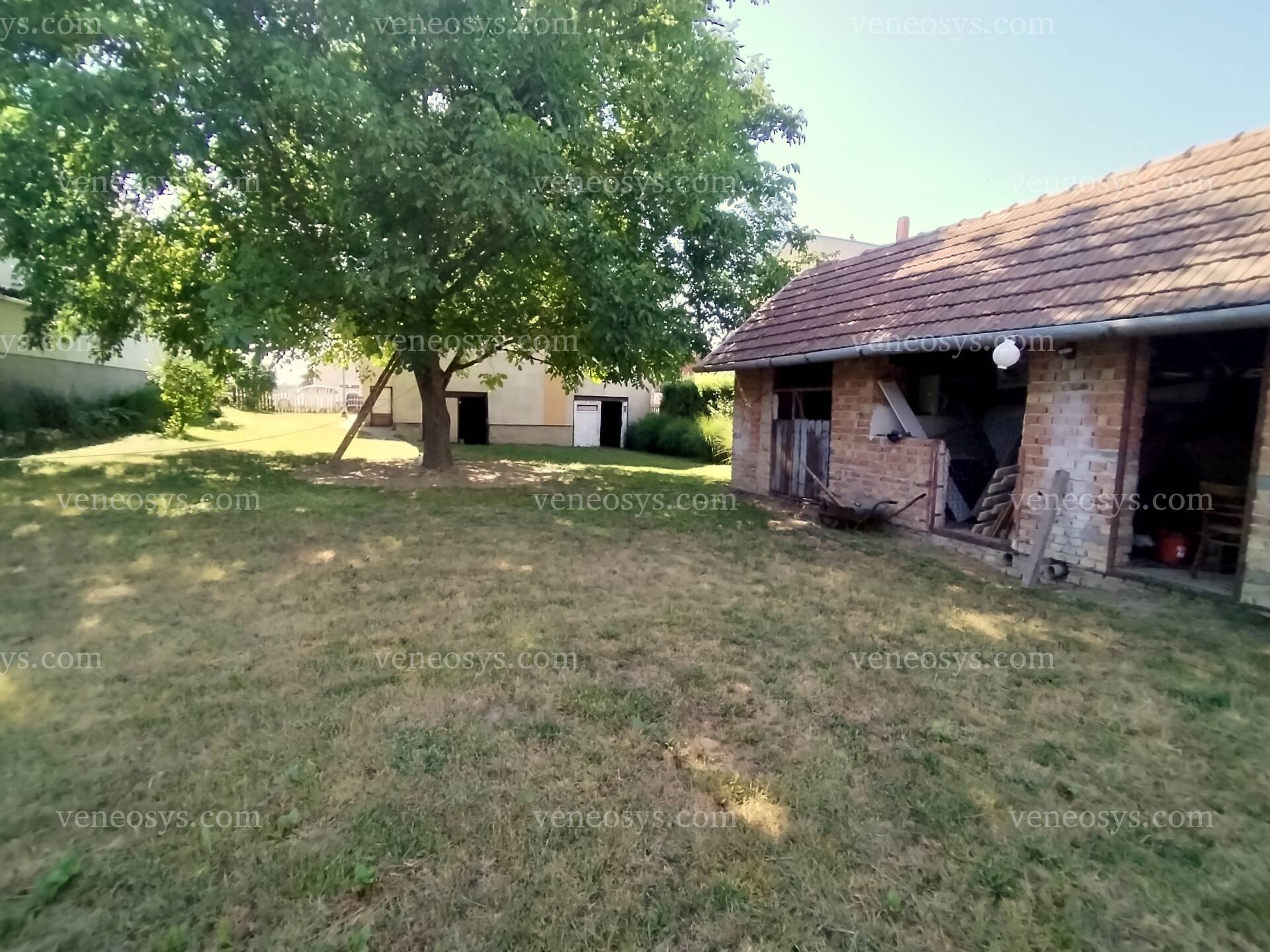 Kép 16