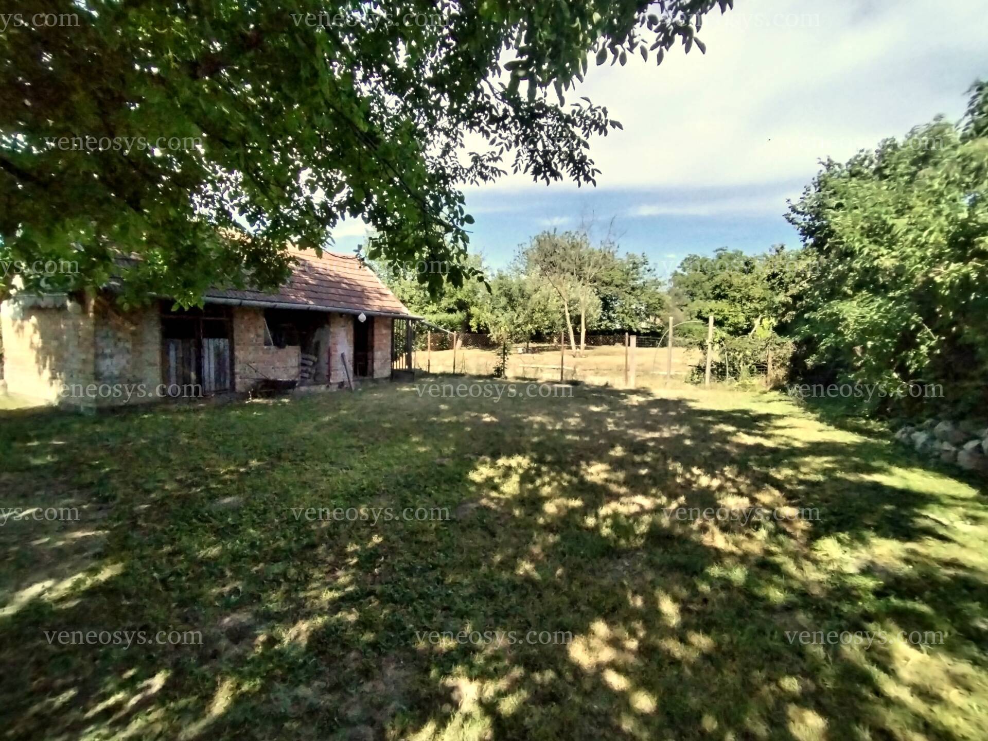 Kép 17