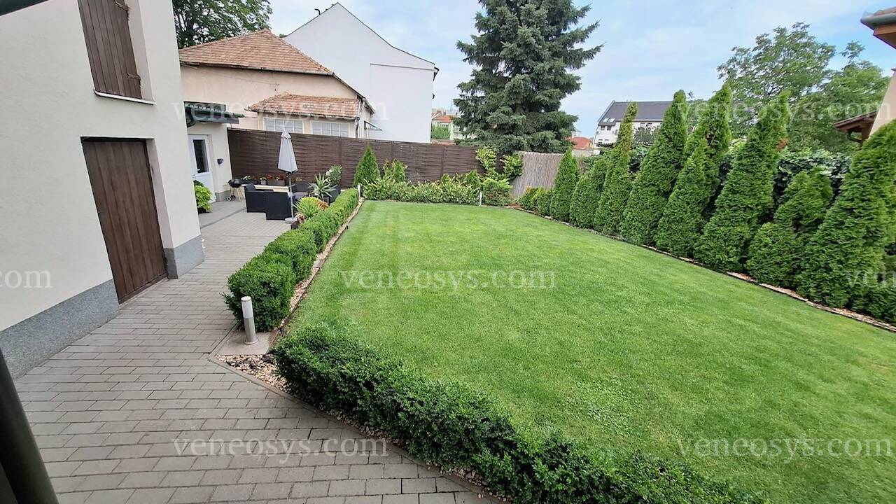 Kép 21