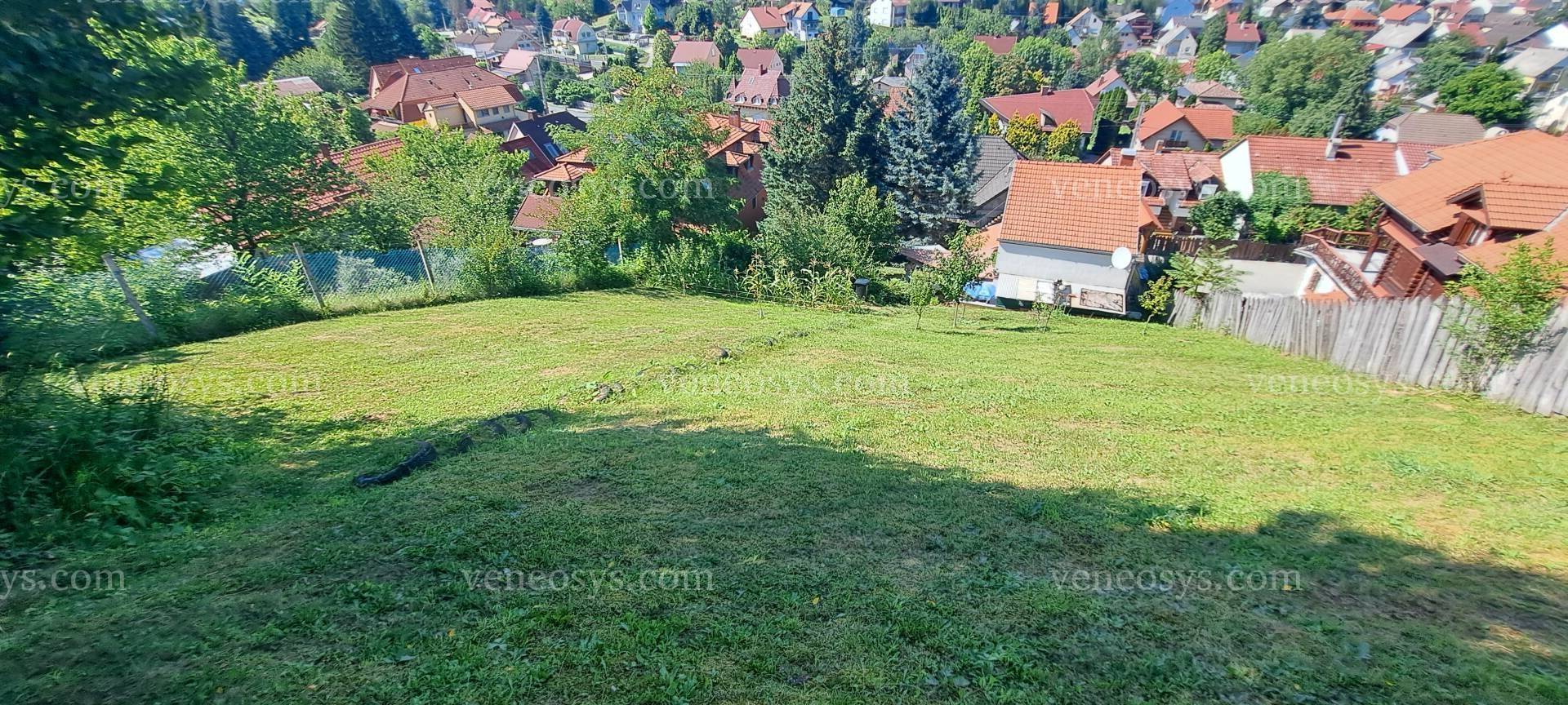 Kép 10